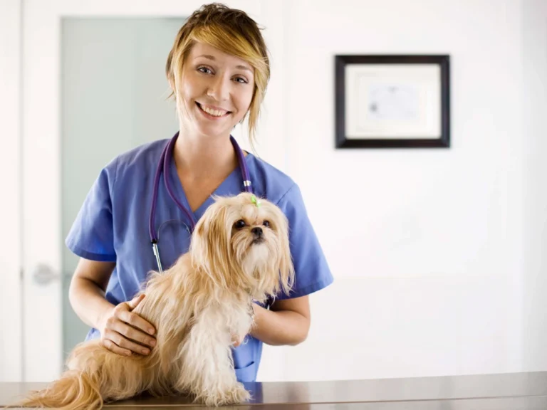 Why Checks Are a Veterinary Practice’s Hidden Asset Against Credit Card Fees